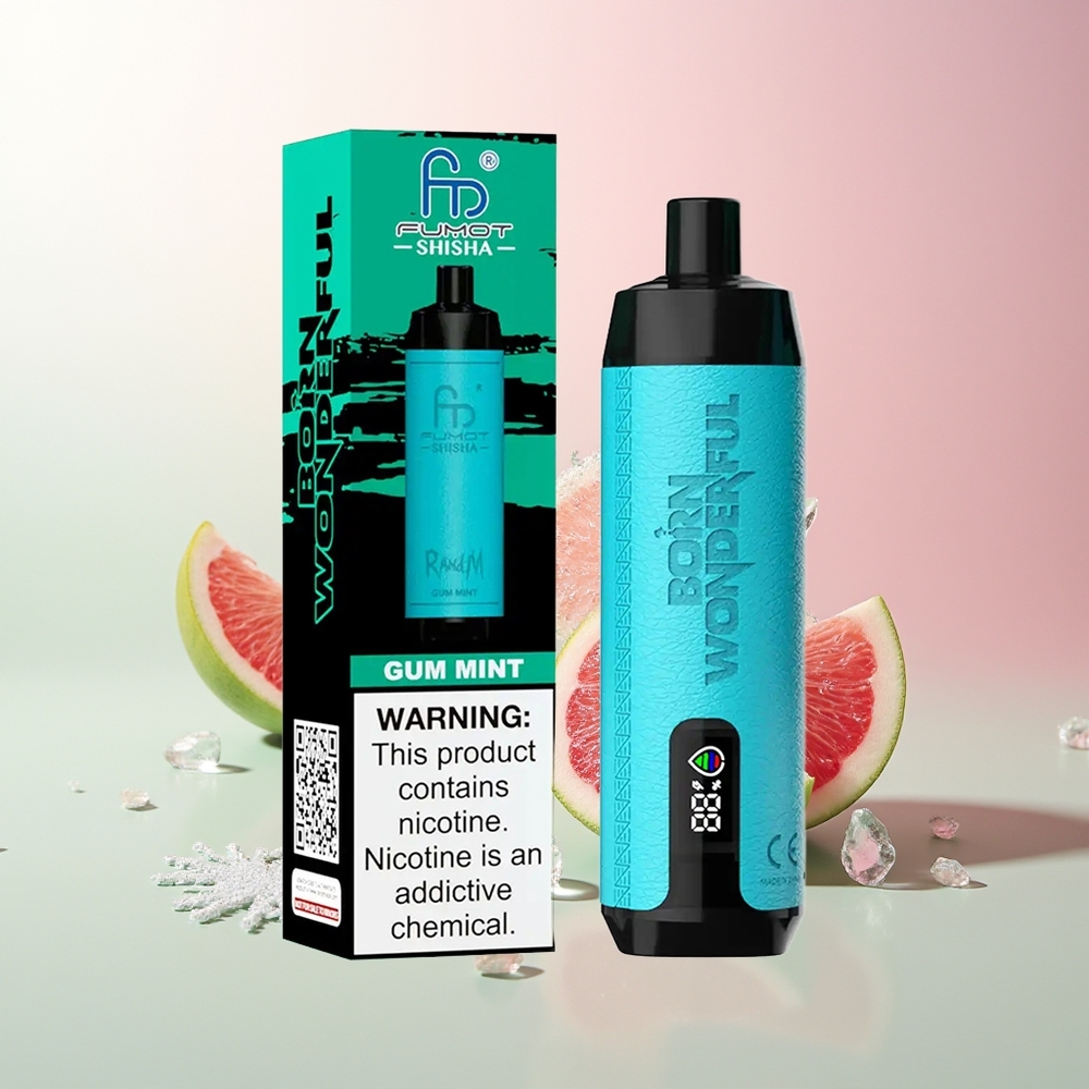 Gum Mint RandM Fumot Shisha 10000 Puffs Tip-C Port