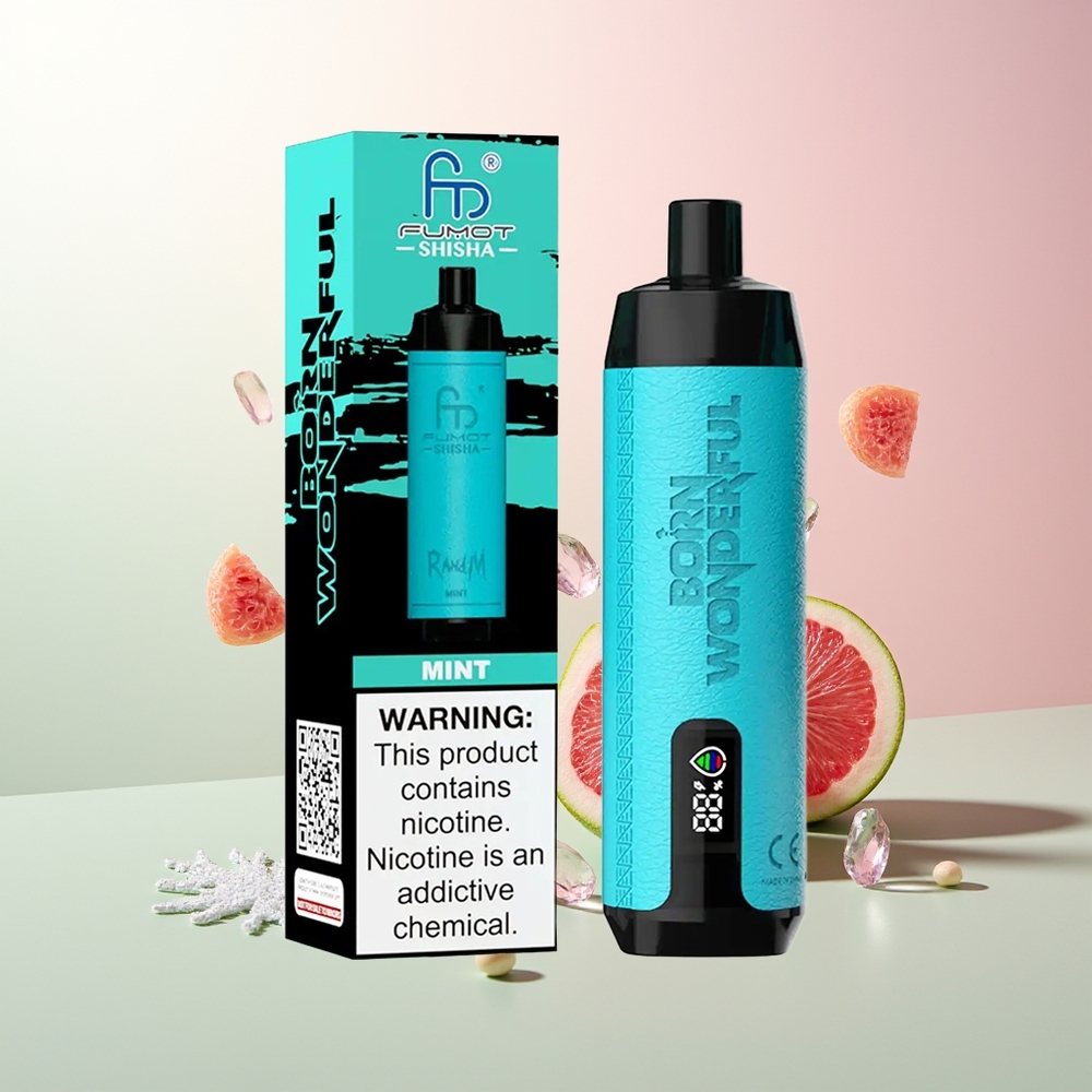 Menta RandM Fumot Shisha 10000 Pufova Tip-C Port