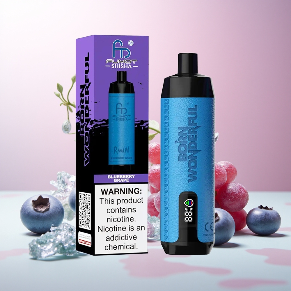 Боровница Грожђе RandM Fumot Shisha 10000 Puffs Type-C