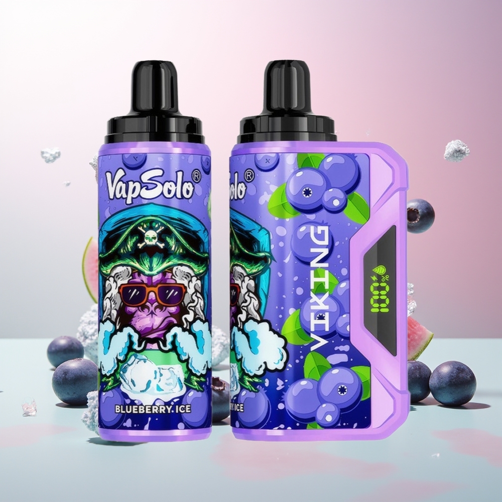 Boravka VapSolo VIKING 12000 Pufova Jednokratna Vejp Borovnica Tip-C